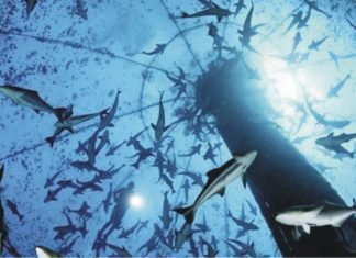 AquaVision 2018 all set to discuss the blue revolution in June 2018