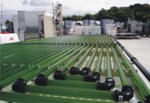 Algae-forestry, bioenergy mix couldhelp to solve world hunger and reduce greenhouse