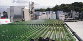 Algae-forestry, bioenergy mix couldhelp to solve world hunger and reduce greenhouse