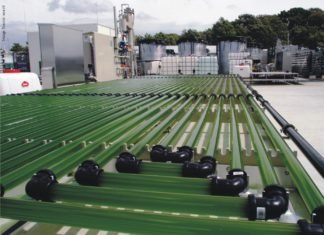 Algae-forestry, bioenergy mix couldhelp to solve world hunger and reduce greenhouse