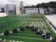 Algae-forestry, bioenergy mix couldhelp to solve world hunger and reduce greenhouse