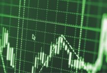 Oilseed market outlook