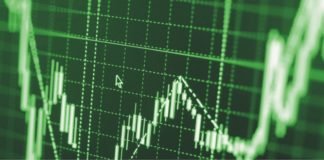 Oilseed market outlook