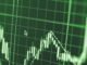 Oilseed market outlook