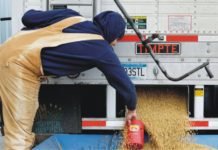 Chinese animal feed industry can absorb impact of US soybean tariff