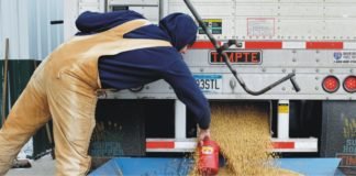 Chinese animal feed industry can absorb impact of US soybean tariff