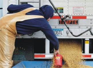 Chinese animal feed industry can absorb impact of US soybean tariff