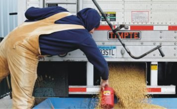 Chinese animal feed industry can absorb impact of US soybean tariff