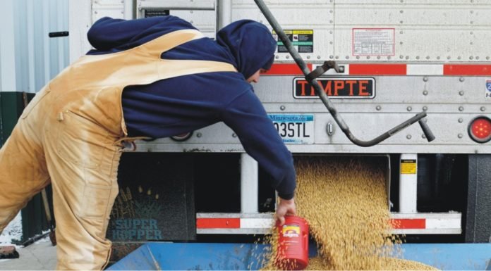 Chinese animal feed industry can absorb impact of US soybean tariff