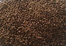 Price pressure on Indonesian fish feed producers