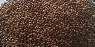 Price pressure on Indonesian fish feed producers