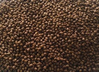 Price pressure on Indonesian fish feed producers