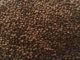 Price pressure on Indonesian fish feed producers