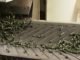 Factors influencing Feed quality and Feed mill productivity-Pelleting Tips