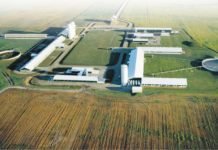 Feed Market Insights