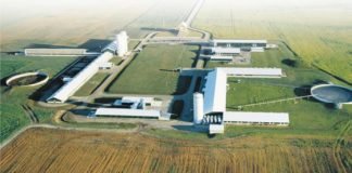 Feed Market Insights