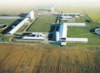 Feed Market Insights