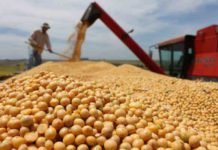 Argentina to buy US soybeans