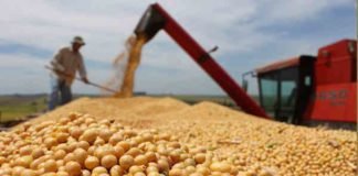 Argentina to buy US soybeans