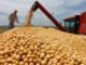 Argentina to buy US soybeans