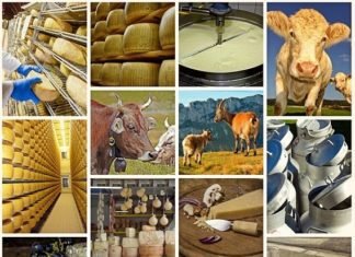 CLFMA Symposium 2018 to focus on “GenNXT” aspects for Indian Livestock Sector