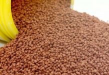 Cargill presents aplant-based alternative for fish feed application