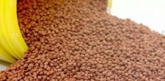 Cargill presents aplant-based alternative for fish feed application