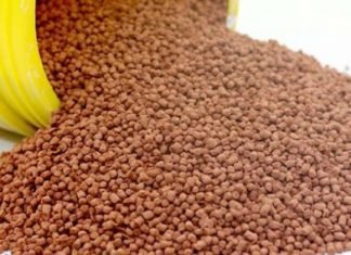 Cargill presents aplant-based alternative for fish feed application
