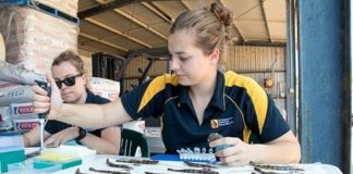 INvertebrateIT connects aquaculture stakeholders for sustainable feed