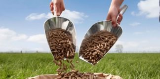 Acquisition puts De Heus in Indonesian feed market