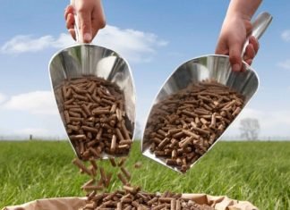 Acquisition puts De Heus in Indonesian feed market