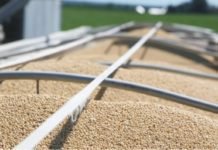 China to resume imports of oil meal from India