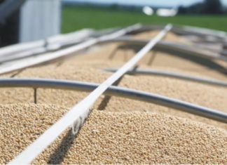 China to resume imports of oil meal from India