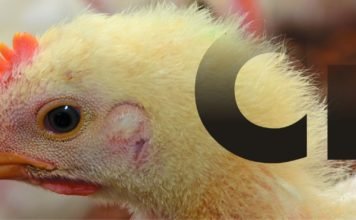 Solving the Chromium Mystery in Poultry