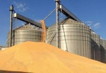 Potential of soybean crushing industry in Indonesia – Rabobank