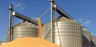 Potential of soybean crushing industry in Indonesia – Rabobank