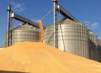 Potential of soybean crushing industry in Indonesia – Rabobank