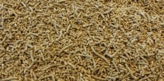 More Sustainable aquafeed with marine microalga co-product