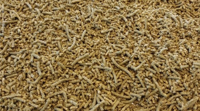 More Sustainable aquafeed with marine microalga co-product