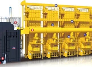 Controlling Alflatoxin production in grains