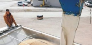 China Trade Truce Boosts U.S. Agricultural Products