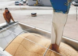 China Trade Truce Boosts U.S. Agricultural Products