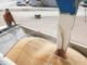 China Trade Truce Boosts U.S. Agricultural Products