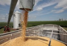 Impact of changing US-China trade relations on India oilmeal export