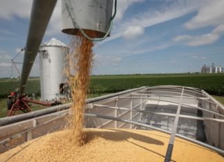 Impact of changing US-China trade relations on India oilmeal export