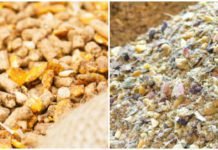 Conventional or Novel Chicken Feed Ingredients-Fermentation just might cater to all your problems