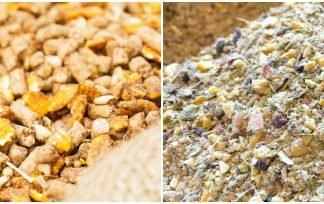 Conventional or Novel Chicken Feed Ingredients-Fermentation just might cater to all your problems