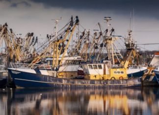 Stakeholders and Innovation key to survival of Marine Ingredients industry