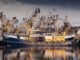 Stakeholders and Innovation key to survival of Marine Ingredients industry