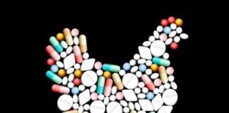 Restriction on Antibiotic usage can create unprecedented opportunities for Animal Feed Probiotics Industry